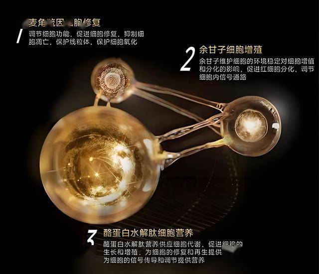 中国支出者协会评出“2023年十大支出维权舆情焦点” 威马汽车“网络服务停摆”、共享充电宝“好借难还”等上榜
